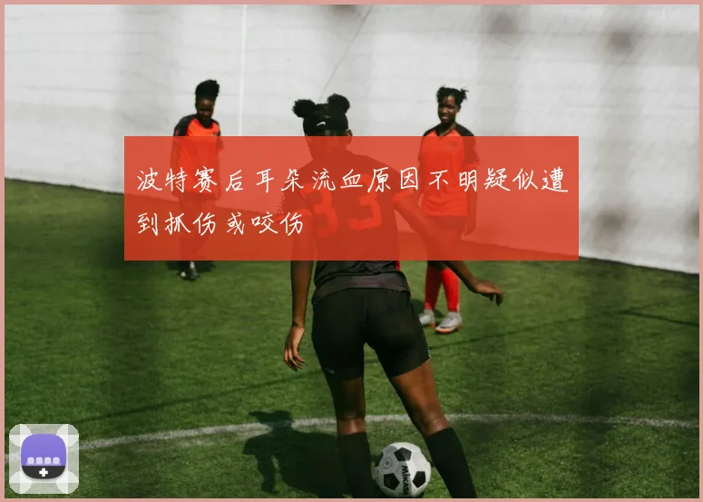 波特赛后耳朵流血原因不明疑似遭到抓伤或咬伤
